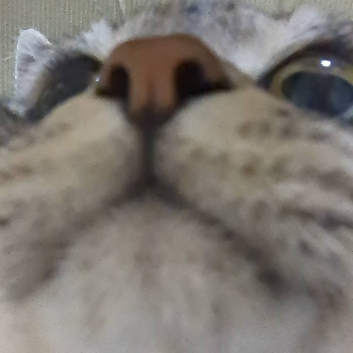 6570eb43 45ef 408b 859a d5d3304cf4ae 1729934415649