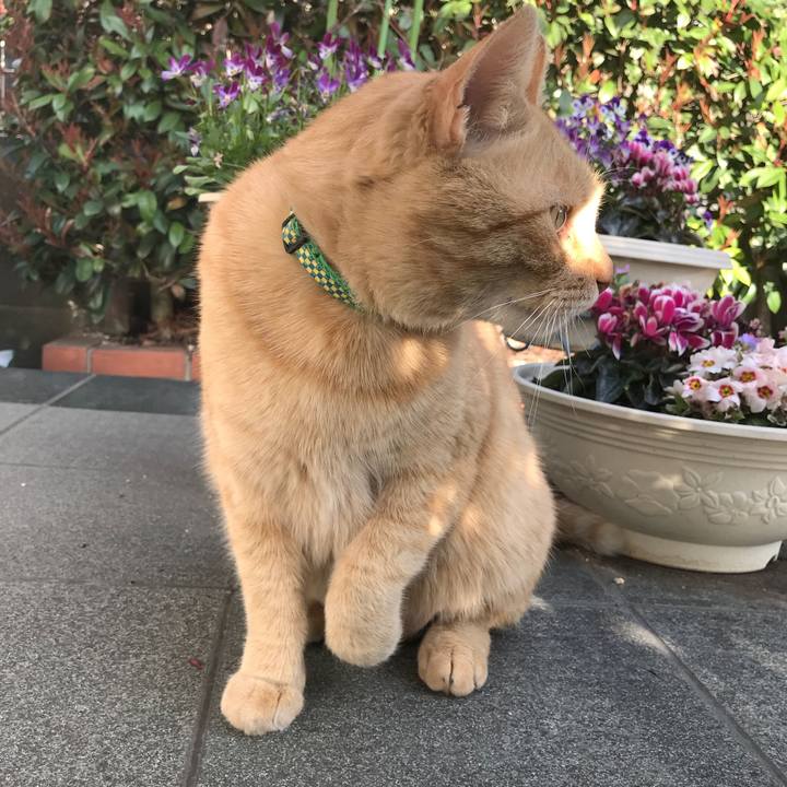 6570f9f4 e5eb 4630 b729 dba54269357a 1521018354500