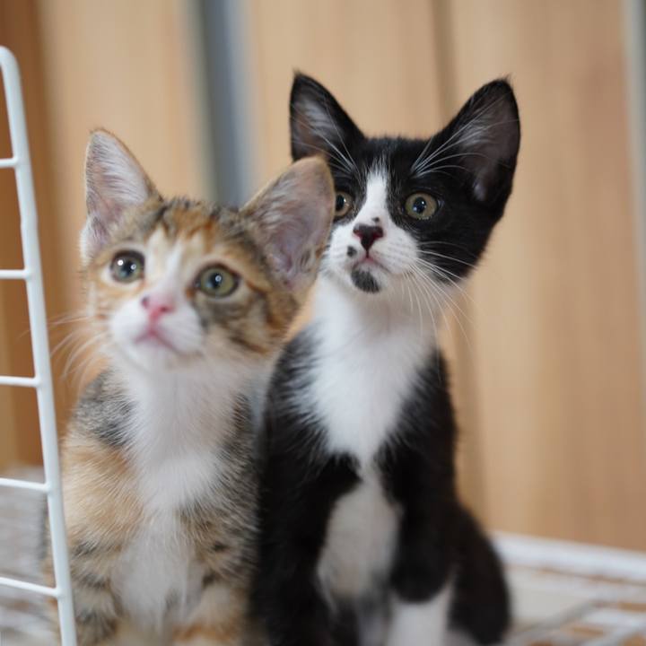 6571203c d977 4fc7 8acf 79a4a5916a1f 1567640313568