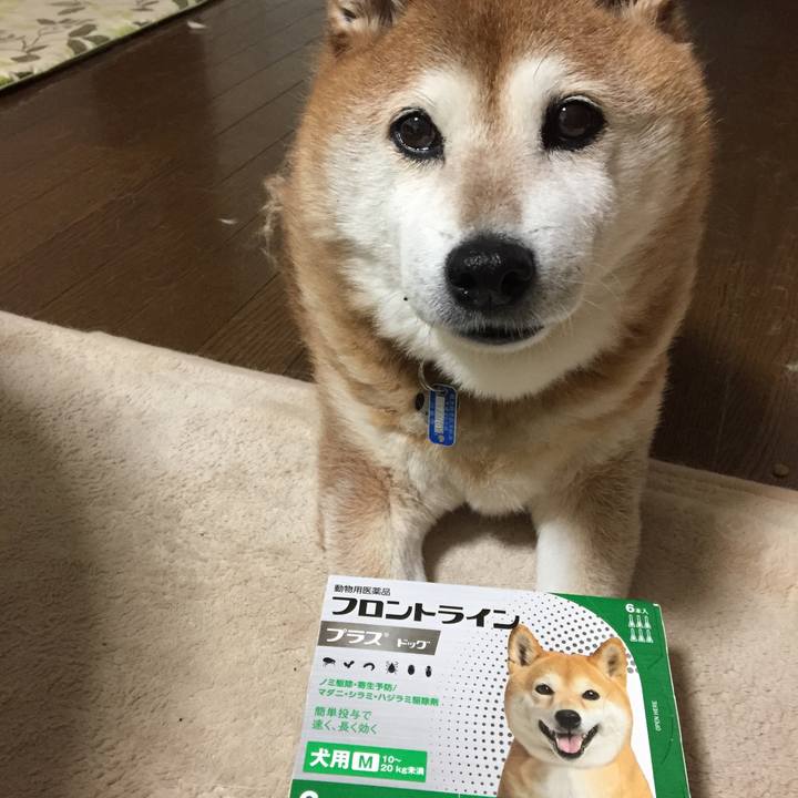 65712a75 da5c 4663 aab4 9f663e8745e7 1532087696672