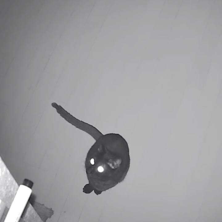 65712f13 3941 4256 a7f3 155df65b4d22 1525169639541