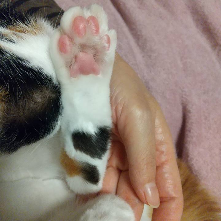 657138b8 bce2 42c4 b48c 4467021db094 1700923036110