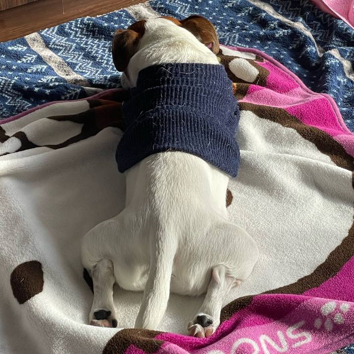 6571472b 18f2 485d a5d6 f24ddf37adcc 1643588646254