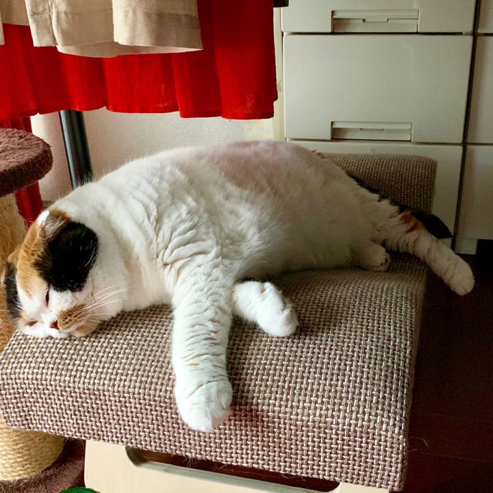 657188da ffcc 43a4 b080 27e2f9492996 1567900368306