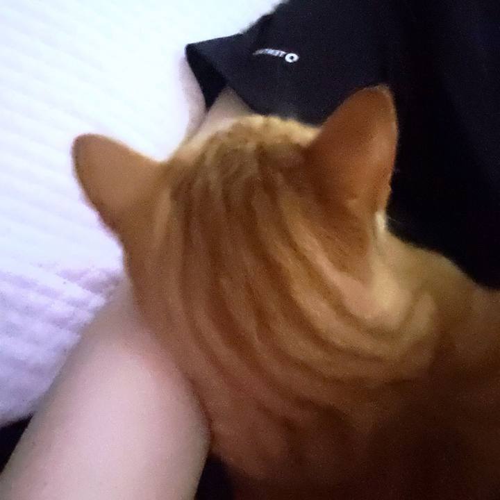 65719606 83fc 4180 adc0 6f3debfa95e9 1716595055511