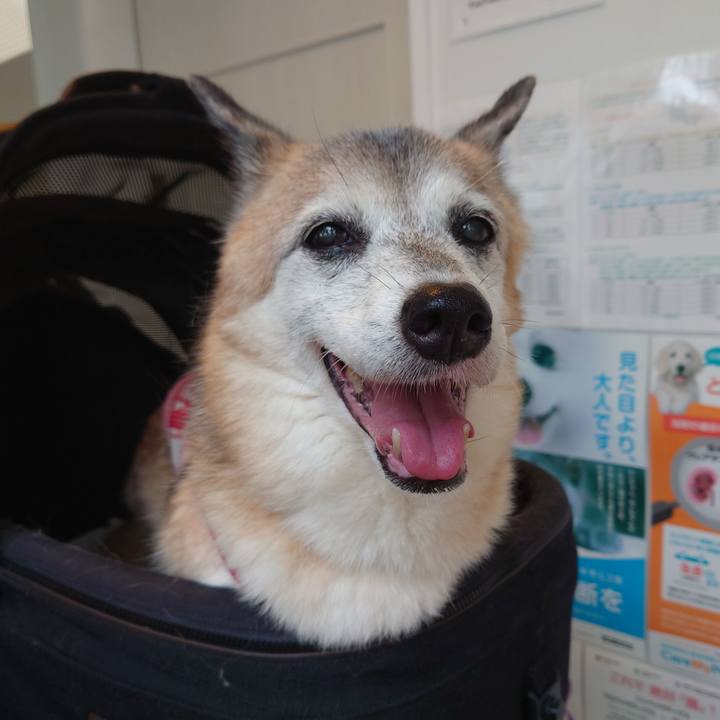 657196e1 fe4c 408a a488 26a330db9e8b 1758455702904