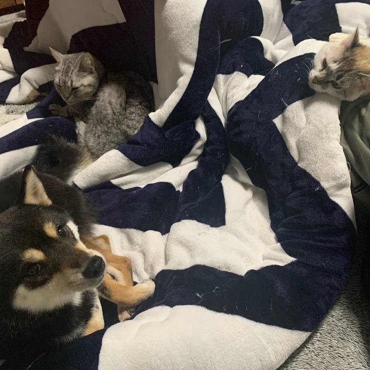 6571979b 3325 4795 81f5 34acbaf312d5 1647952669076