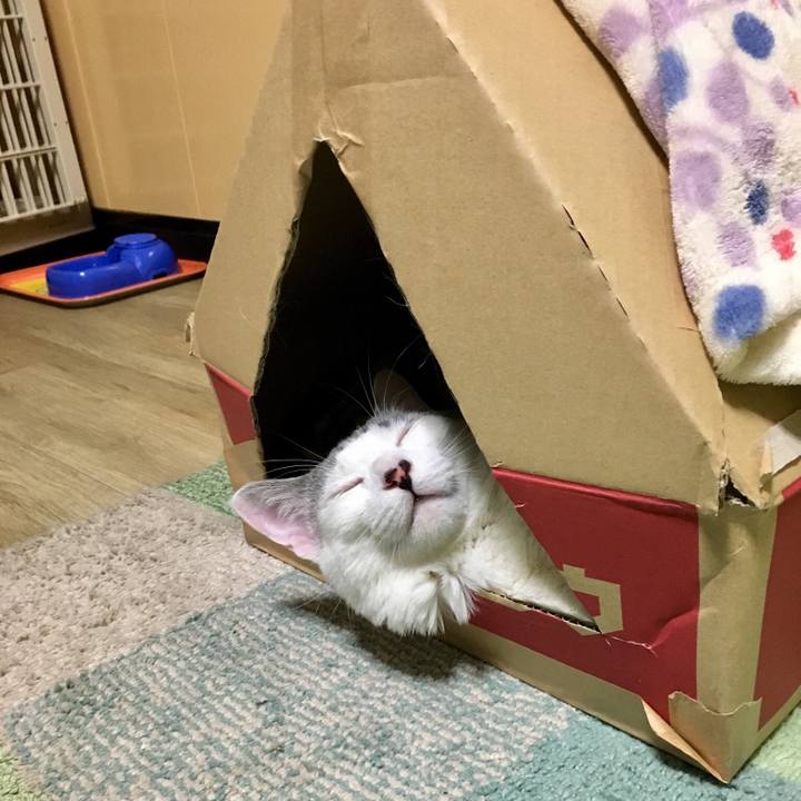 6571bb60 3712 4c2e 9261 6a39feb6fd29 1557621649193