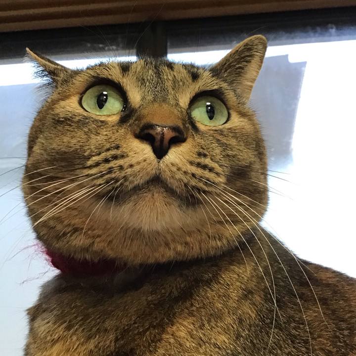 6571c561 c986 4b97 8850 e8786065c581 1742545668571