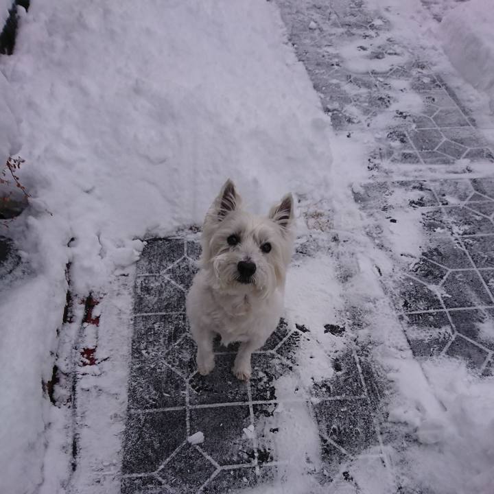 6571fd18 db9b 4026 a25f 23a28246d3ab 1548769503508