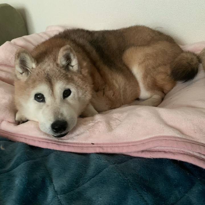 65722920 7f1c 465a b39c d400aada4e48 1676765039618