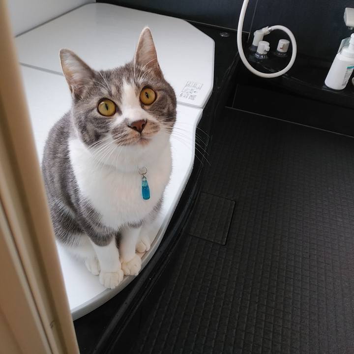 65722d80 ae17 4a39 ae44 f64e3e7b5415 1582328136491