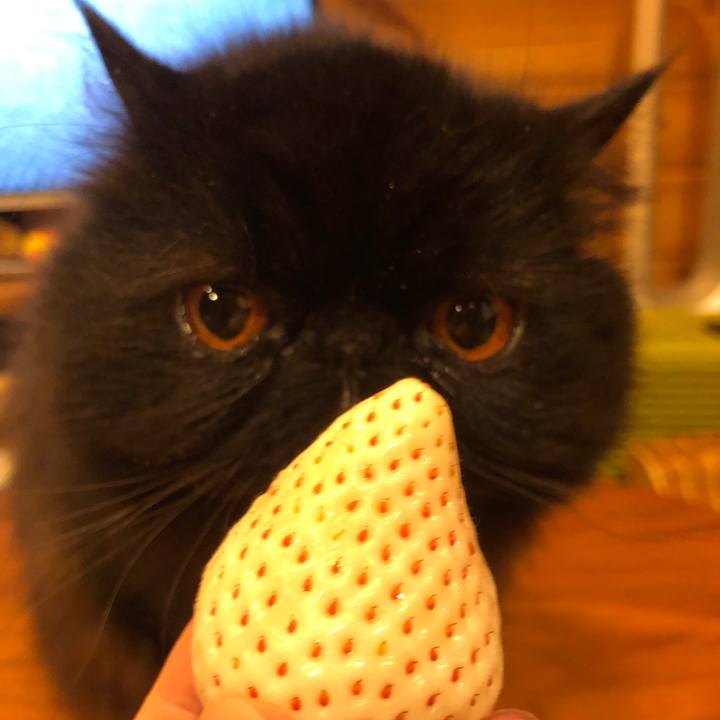 65722f26 596b 4aad b232 0cca16a10b74 1580129992059