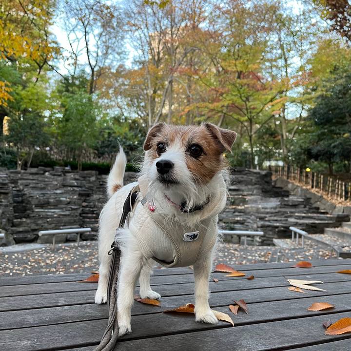 65723793 c9d1 4879 8472 00741c5775ad 1730952458360