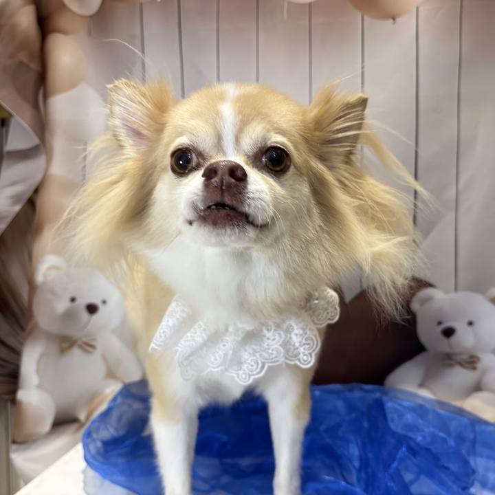 65725dd5 4e96 4a48 ba6c d234c2cf1857 1764128890105