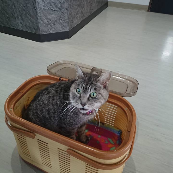 65728b8e 3c80 4345 a879 16ceb8947385 1580540308704