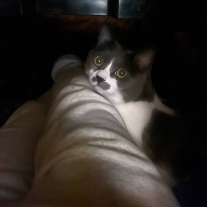 65729a7f d6f4 4785 b131 1ed22c8d2a5b 1700315309902