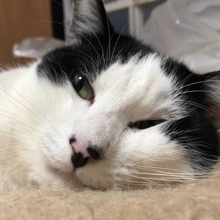 6572c45e 5749 4a6d 9135 f475ad3bfd8b 1546244409800