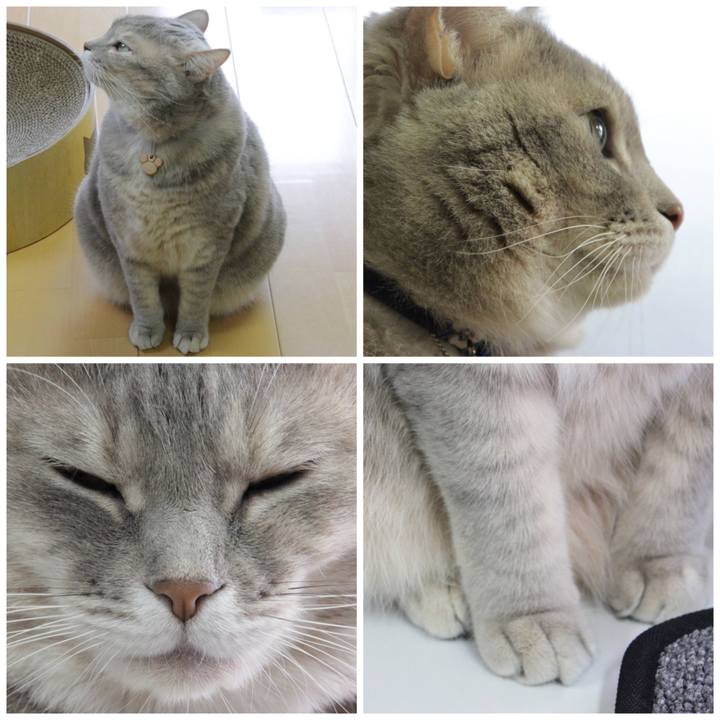 6572d68d 9c7b 4c12 bab2 6f39eefe8fd3 1635306379435