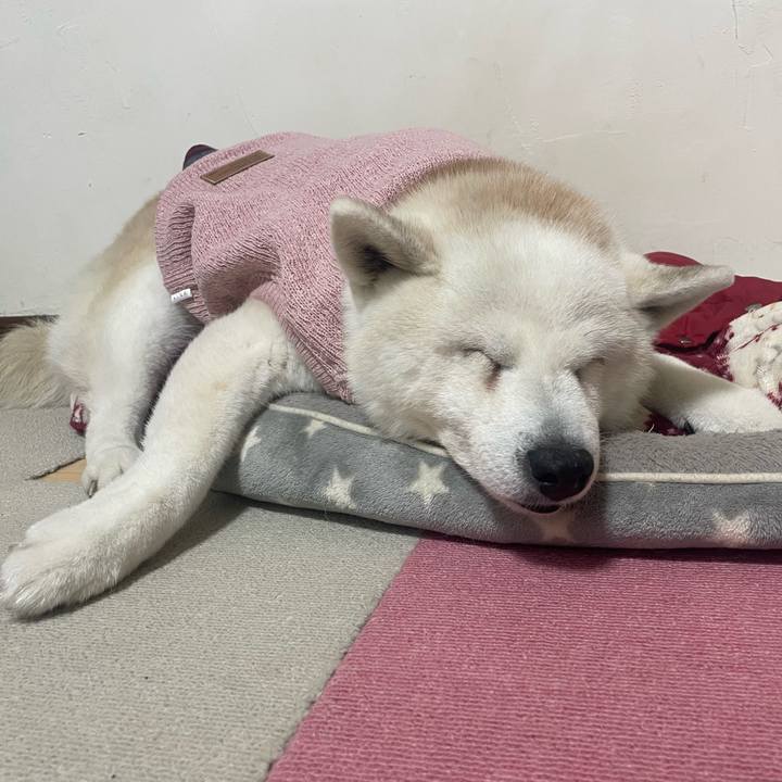 6572d978 0a6b 48b6 adde 6b08f63e4a42 1737802916364