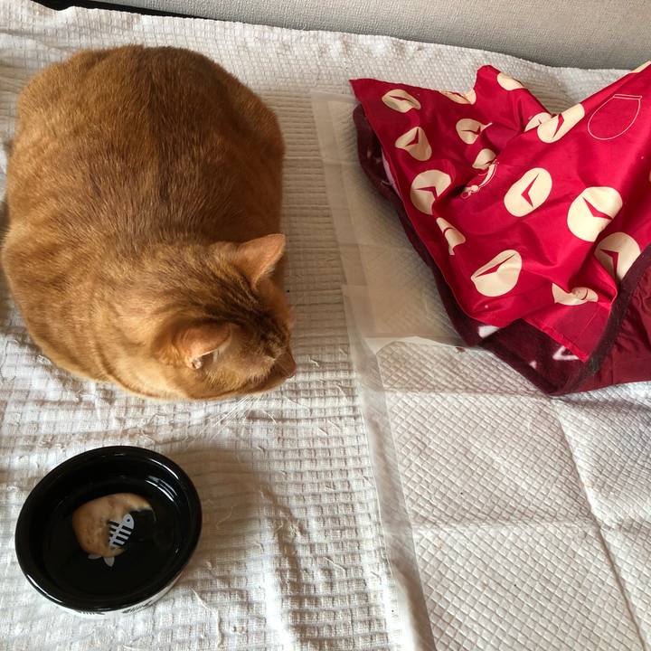 6572f4af 23c3 4f2e 8e05 d324dc64b57d 1647553144342