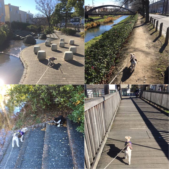 6572ff3c c296 4a24 8a08 646713e82c54 1545971263454