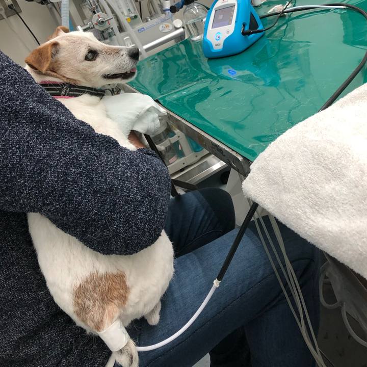 65730ad0 09b2 4565 830e 709183934937 1573907847878