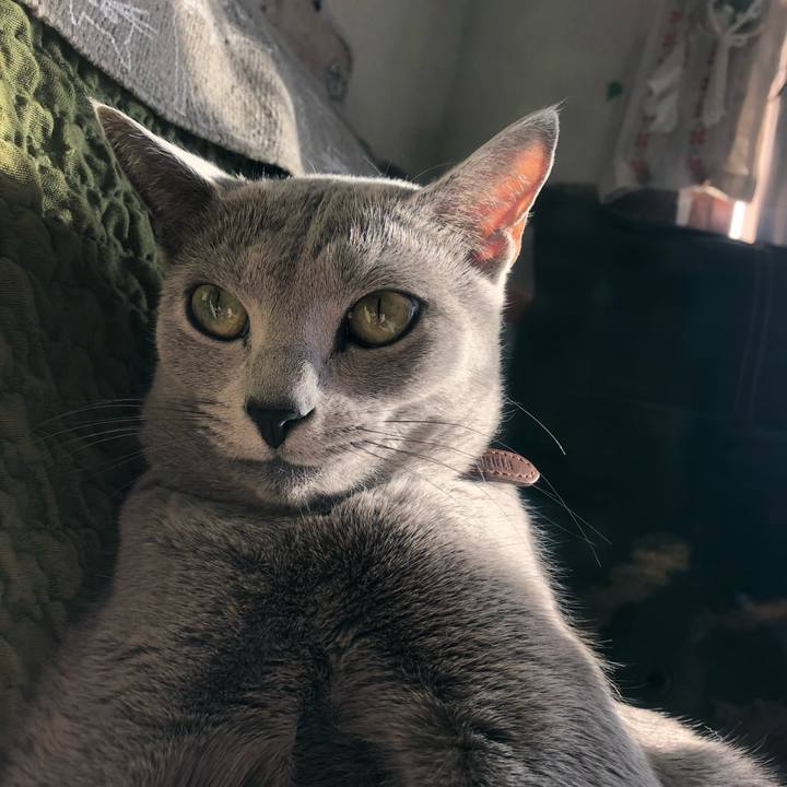 657317b7 f00d 454a b40a ee20d01c02d4 1552257990582