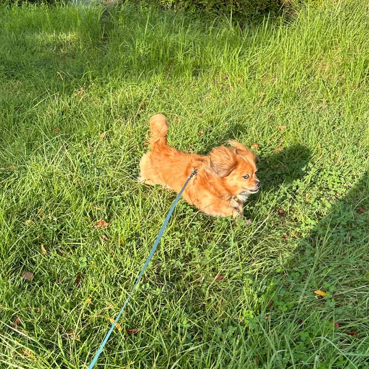 65731b36 8705 4e4c a096 4e26736bf4b4 1693607591696