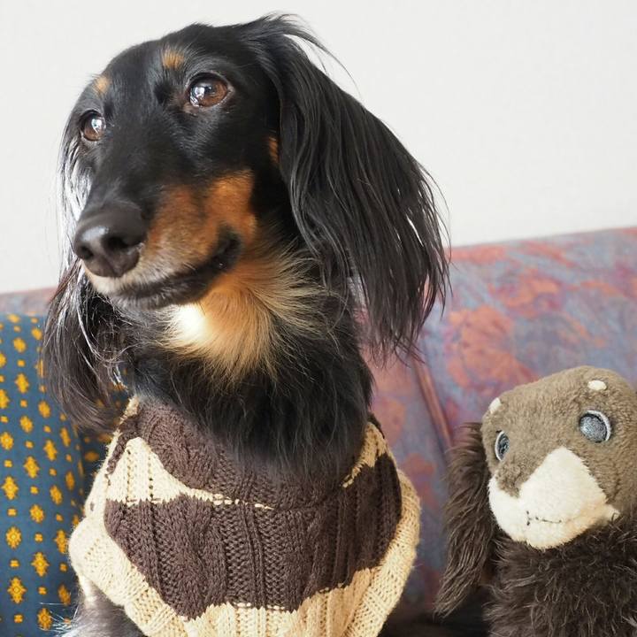 6573251b fd9e 4203 9ccd 9e2c2165248b 1515291737137