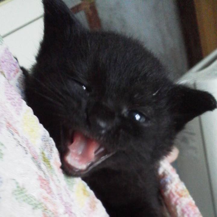 65737632 9423 4ba2 9dba 644f25f8c02d 1513253726655