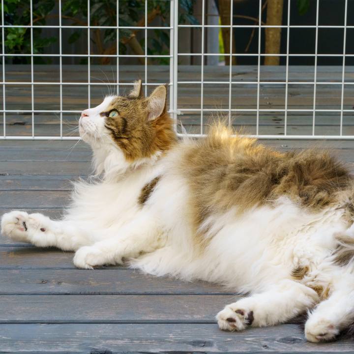 6573854c 14c8 4f90 8dd5 c3104998196e 1651923586663