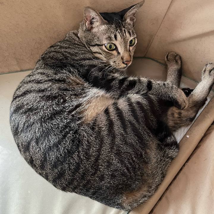 65738716 79cd 4198 852a a7947a3348d6 1767336435053