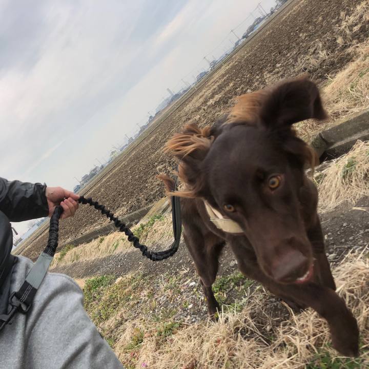 6573cd46 3f14 45a7 8d6e df0b51f1d026 1582338862194