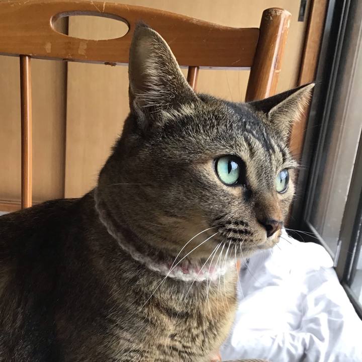 6573ce3e 8d8c 42fa 9128 43dfb293b673 1667606308423