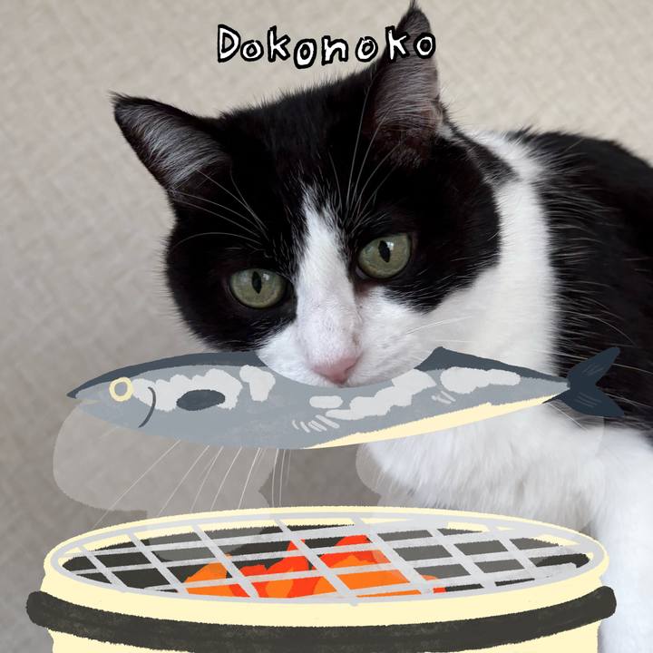 65740646 1345 4e18 b52f e669e143ed0d 1762171757160