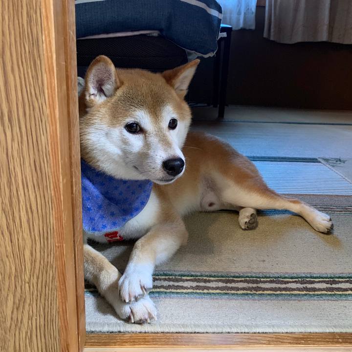 6574142b 32c6 478e 80c0 e2d0d779be02 1567938741742