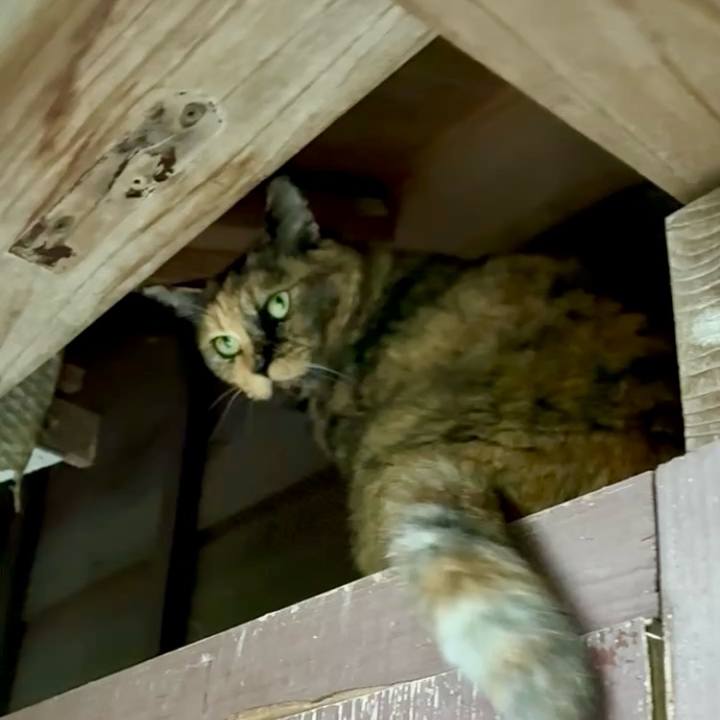 65741f03 747e 4d82 9e94 6077d8ba1ab5 1752804412232