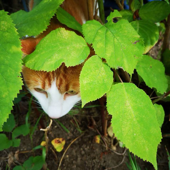 6574600c ec9d 4d18 b1e1 27de74b1c599 1532867987349