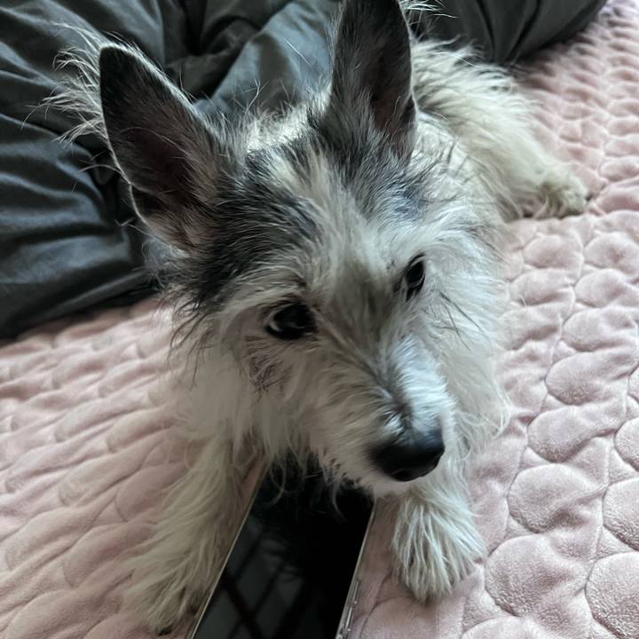 6574cb11 fa59 472e 8335 f9f18e195008 1641779313951