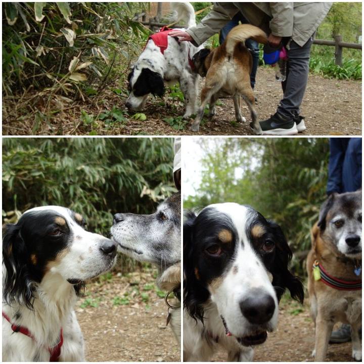 6574d877 9883 4a9a a4ba 183a653018be 1555204132299