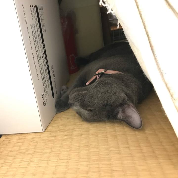 6574fc8c 1922 40af 86fc fab4d25b8d72 1564669158381