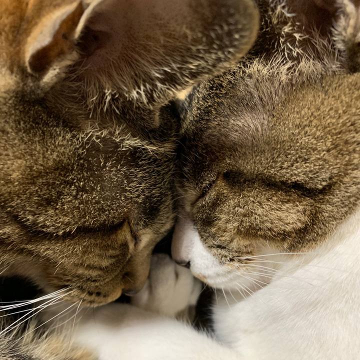 65754f10 bfae 45f1 9d4f 4e2371d82aae 1555551133685