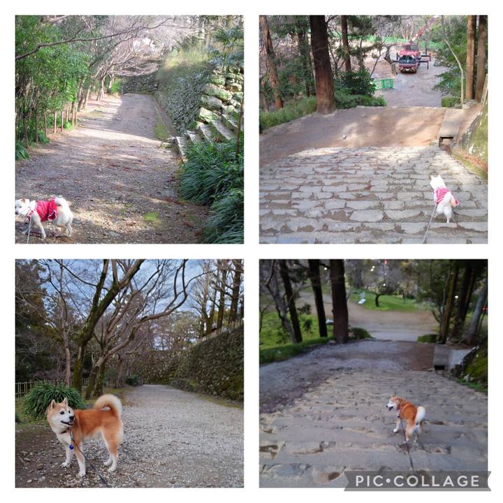 657570d5 9ba4 4d2c a841 ff2196962211 1679136672823