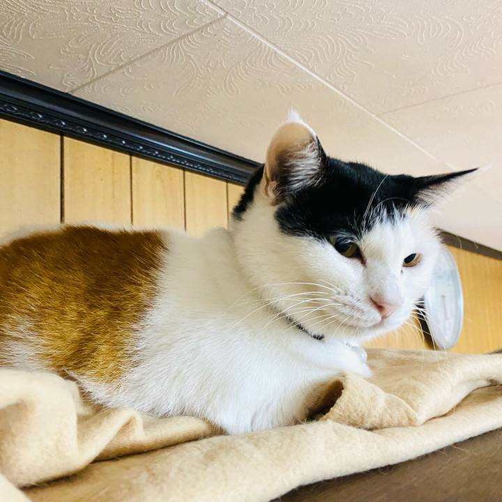 65757421 2064 4d34 a64b 1d718fc2499a 1665435335529