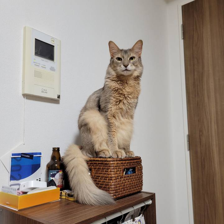 65758f75 44f9 4521 b446 09b07a9e6c4e 1637672867650