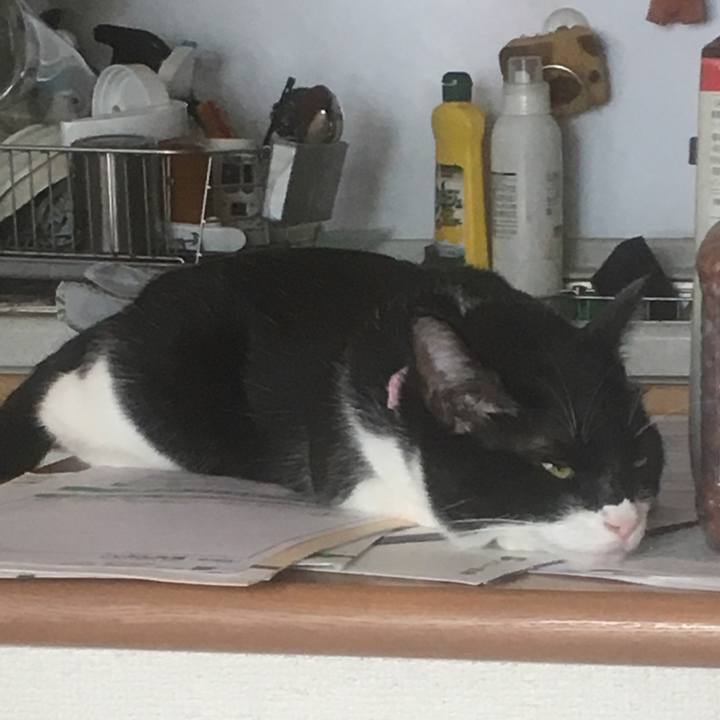 6575baf0 e6c7 4033 9826 6ba36a50a925 1569161470144