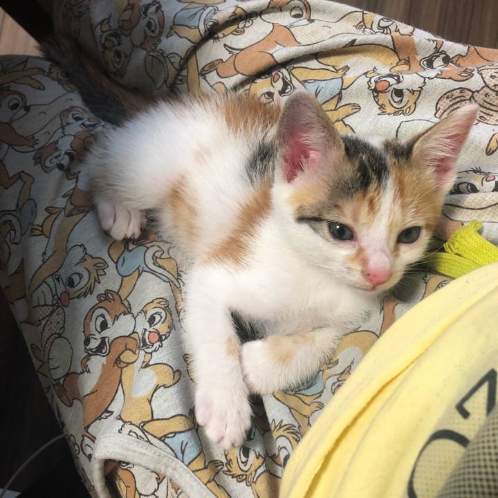 6575bf33 ff5b 40d6 b32b 827fa4cea113 1561332938253