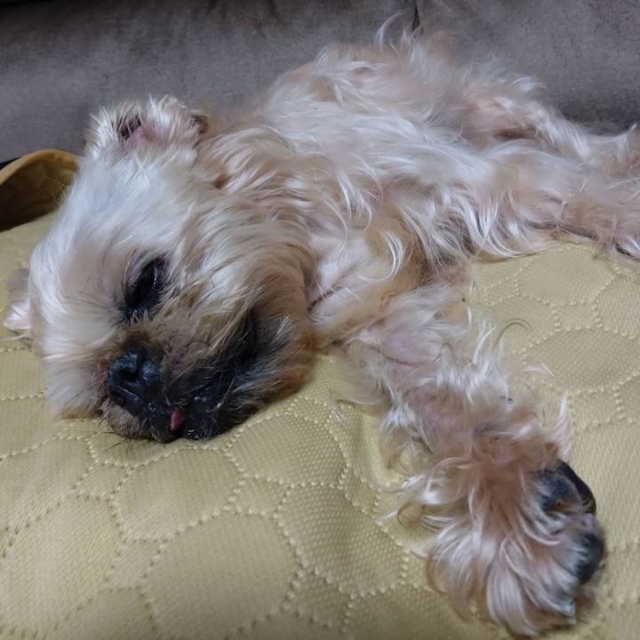 6575fbb8 2be9 4e40 aedd a8e46860e122 1702374177456