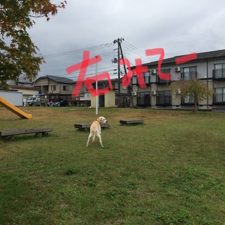 65760b53 a765 4a50 b959 e10c85ae5e01 1541578402230